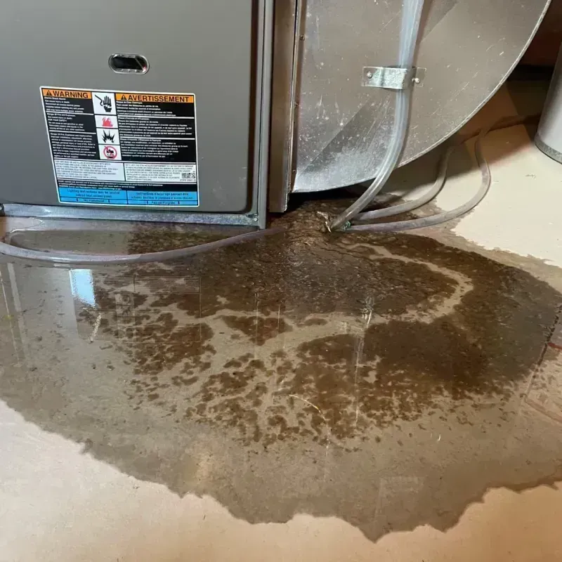 Appliance Leak Cleanup in Shorewood, IL